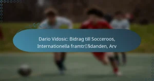 Read more about the article Dario Vidosic: Bidrag till Socceroos, Internationella framträdanden, Arv