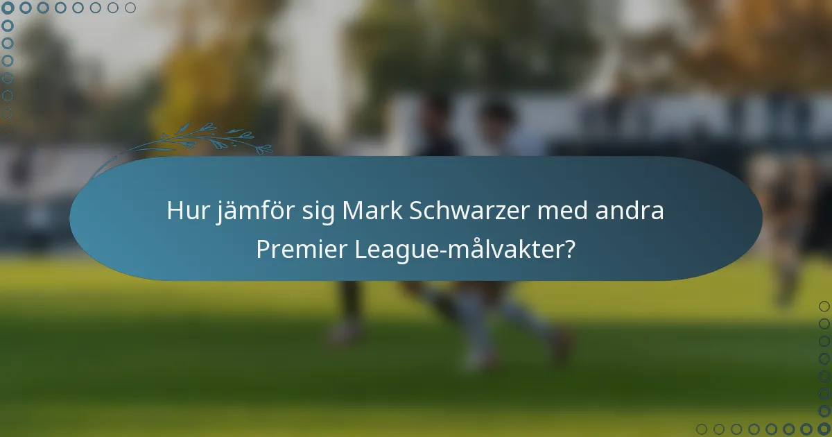 Hur jämför sig Mark Schwarzer med andra Premier League-målvakter?