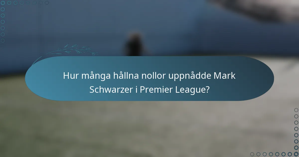 Hur många hållna nollor uppnådde Mark Schwarzer i Premier League?