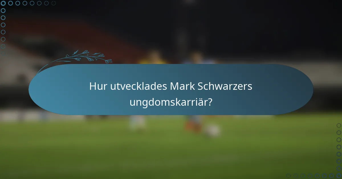 Hur utvecklades Mark Schwarzers ungdomskarriär?