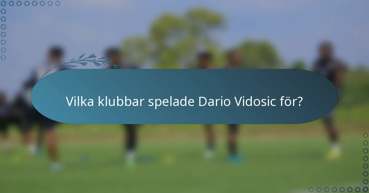 Vilka klubbar spelade Dario Vidosic för?
